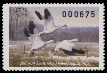 Picture of 2003 Kentucky Duck Stamp