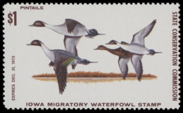 Picture of 1973 Iowa Duck Stamp