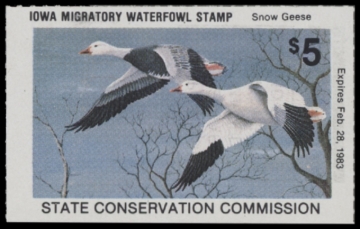 Picture of 1982 Iowa Duck Stamp