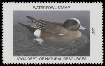 Picture of 2007 Iowa Duck Stamp