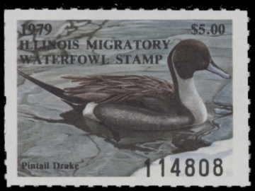 Picture of 1979 Illinois Duck Stamp