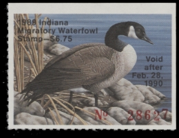 Picture of 1989 Indiana Duck Stamp