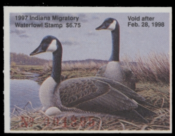 Picture of 1997 Indiana Duck Stamp