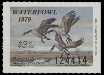 Picture of 1979 Missouri Duck Stamp - First of State