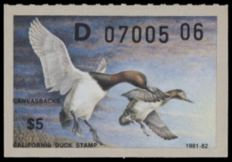 Picture of 1981 California Duck Stamp