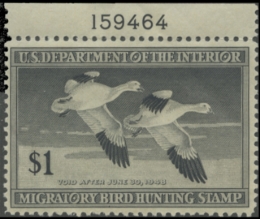 Picture of RW14 1947 Duck Stamp. MLH