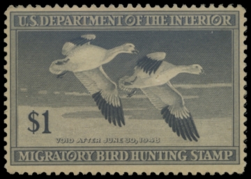 Picture of RW14 1947 Duck Stamp. Unsigned