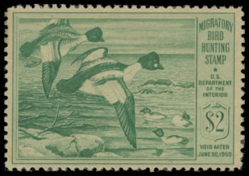 Picture of RW16 1949 Duck Stamp. MLH