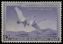 Picture of RW17 1950 Duck Stamp. MNH