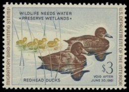Picture of RW27 1960 Duck Stamp. MNH