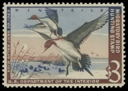 Picture of RW29 1962 Duck Stamp. MLH