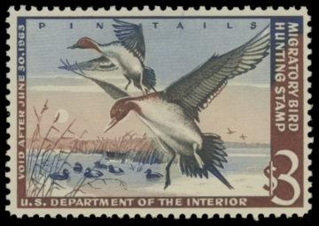 Picture of RW29 1962 Duck Stamp. MLH