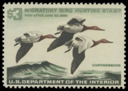 Picture of RW32 1966 Duck Stamp. MLH. F-VF 
