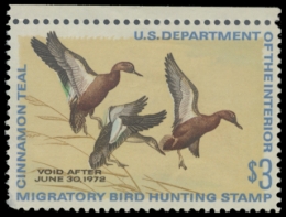 Picture of RW38 1971 Duck Stamp. MLH. F-VF 