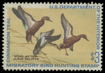 Picture of RW38 1971 Duck Stamp. Unsigned. F-VF 