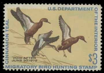 Picture of RW38 1971 Duck Stamp. Unsigned. F-VF 