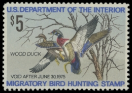 Picture of RW41 1974 Duck Stamp. MNH F-VF