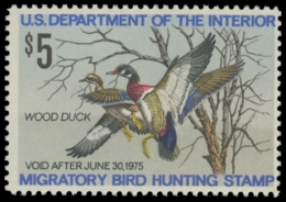 Picture of RW41 1974 Duck Stamp. MNH. F-VF