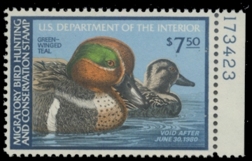 Picture of RW46 1979 Duck Stamp. MNH. F-VF 