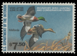 Picture of RW47 1980 Duck Stamp. MNH. F-VF 