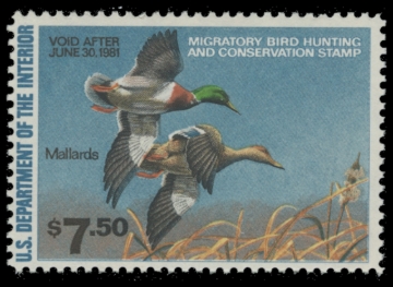 Picture of RW47 1980 Duck Stamp. MNH. F-VF 