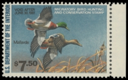 Picture of RW47 1980 Duck Stamp. MNH. F-VF 