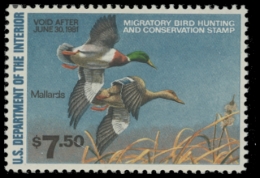 Picture of RW47 1980 Duck Stamp. MNH. F-VF