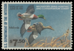 Picture of RW47 1980 Duck Stamp. Unsigned. F-VF 