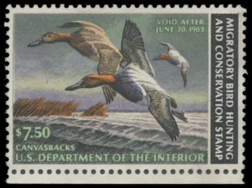 Picture of RW49 1982 Duck Stamp. Unsigned. VF 
