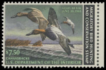 Picture of RW49 1982 Duck Stamp. MLH. F-VF 