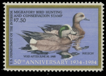 Picture of RW51 1984 Duck Stamp. MLH. F-VF 
