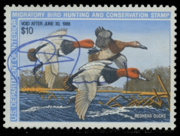 Picture of RW54 1987 Duck Stamp. Used. F-VF 