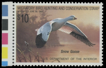 Picture of RW55 1988 Duck Stamp. MNH. VF 