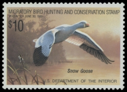 Picture of RW55 1988 Duck Stamp. MLH. VF 