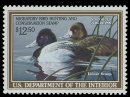 Picture of RW56 1989 Duck Stamp. MNH. VF