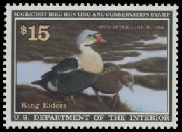 Picture of RW58 1991 Duck Stamp. MLH. VF 