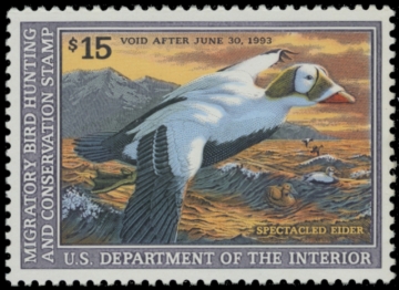 Picture of RW59 1992 Duck Stamp. MNH. F-VF 