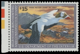 Picture of RW59 1992 Duck Stamp. MNH. F-VF 