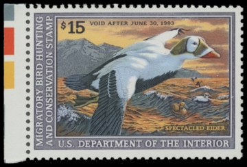 Picture of RW59 1992 Duck Stamp. MNH. F-VF 