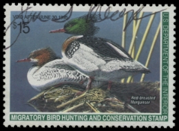 Picture of RW61 1994 Duck Stamp. Used. VF 
