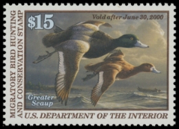Picture of RW66 1999 Duck Stamp. MNH. VF