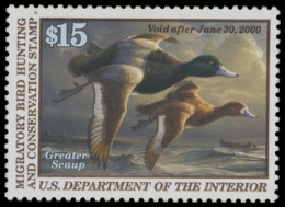 Picture of RW66 1999 Duck Stamp. MNH. VF