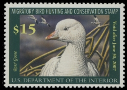 Picture of RW73 2006 Duck Stamp. MNH F-VF