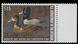 Picture of RW74 2007 Duck Stamp. MNH F-VF