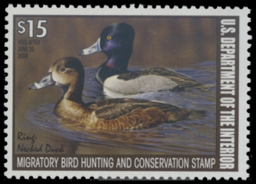 Picture of RW74 2007 Duck Stamp. MNH F-VF