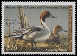 Picture of RW75 2008 Duck Stamp. MNH F-VF