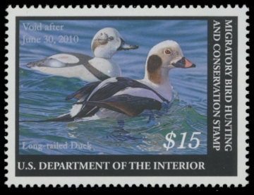 Picture of RW76 2009 Duck Stamp. MNH XF
