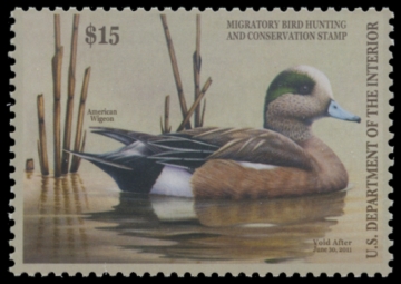 Picture of RW77 2010 Duck Stamp. MNH