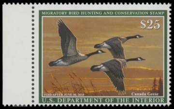 Picture of RW84 2017 Duck Stamp 