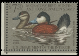 Picture of RW48 1981 Duck Stamp. MNH